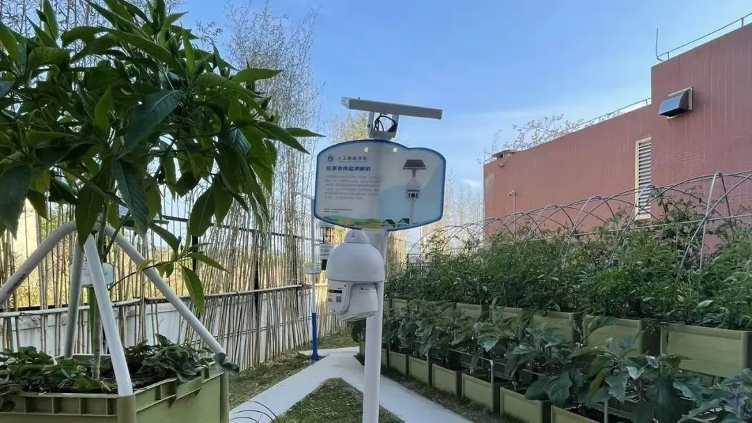 華珠舉行人工智能學院科技小院揭牌儀式16.jpg 華珠舉行人工智能學院科技小院揭牌儀式16.jpg